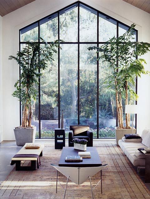 green houseplants in front of a tall window