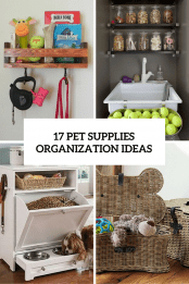 17-pet-supplies-organization-ideas-cover