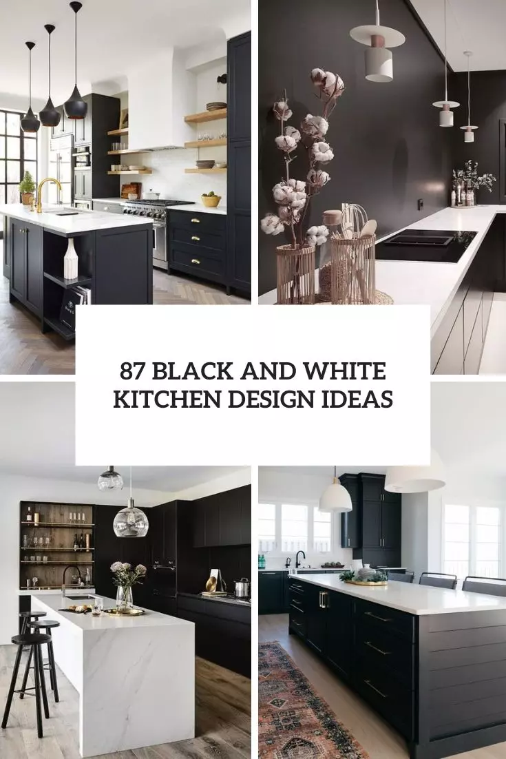 black and white kitchen design ideas