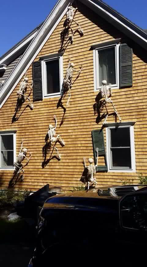 Climbing skeletons would turn a side of your house into a gorgeous display.
