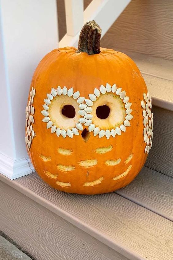 a cute carved owl pumpkin done simply and in a very fast way is a cool idea for the fall or for Halloween