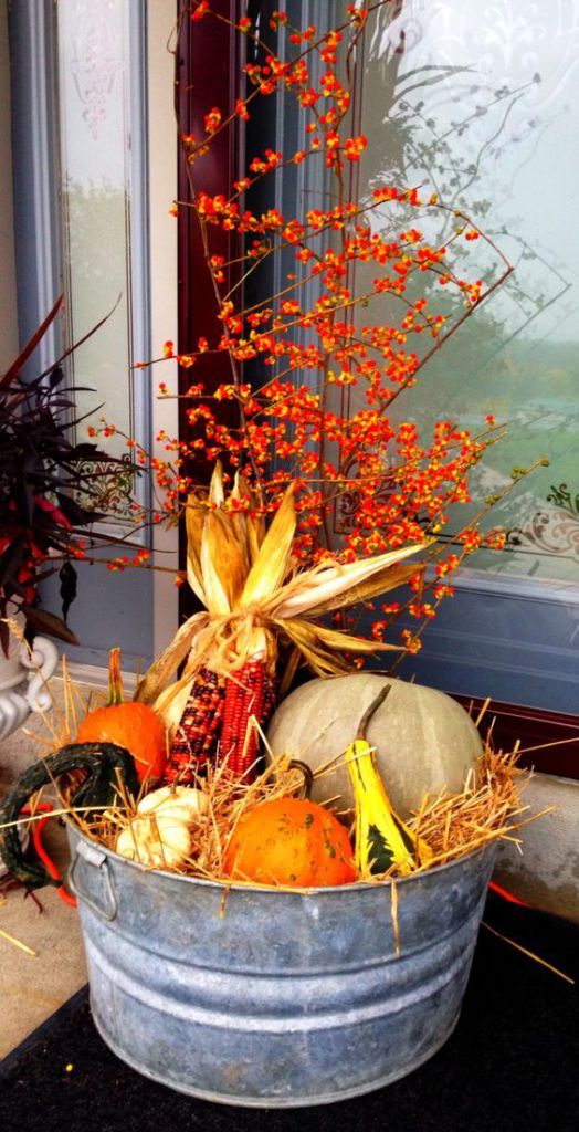 a bucket with hay, corn cobs, gourds, pumpkins and berries is a pretty rustic decoration for fall or Thanksgiving