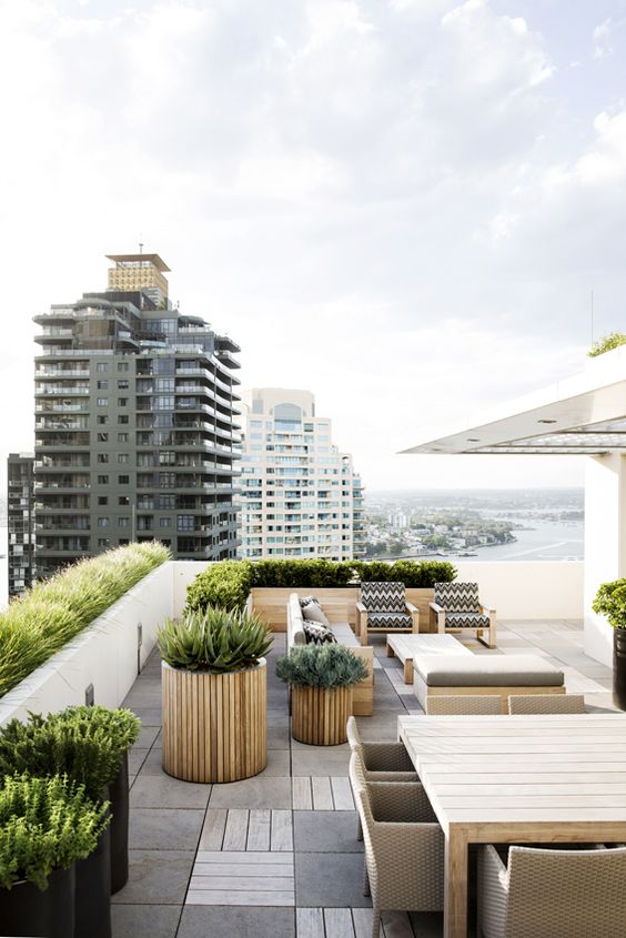 a modern rooftop terrace with wooden and wicker furniture, printed upholstery. potted greenery and succulents