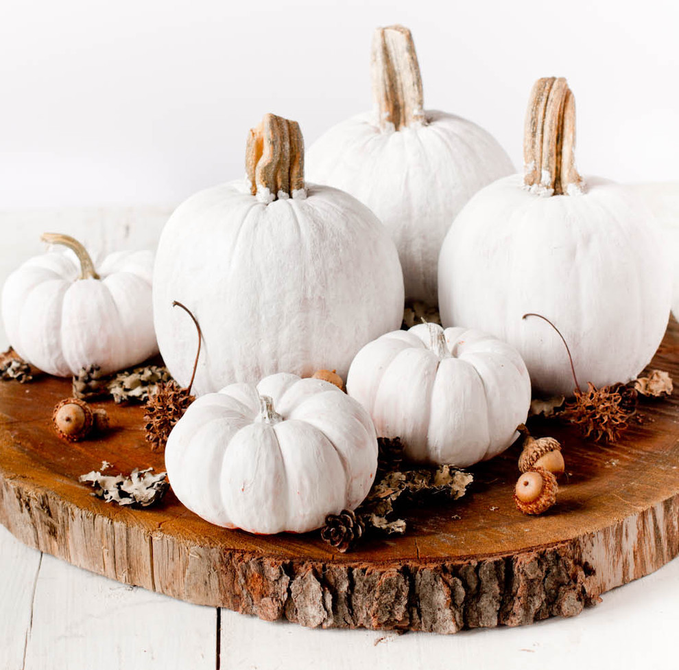 A group of tiny pumpkins clustered together on a wood trunk's slice would make a perfect, easy to move centerpiece.