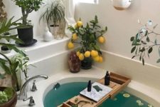 a bathtub surrounded by greenery and succulents in various planters and with some cacti and a lemon tree