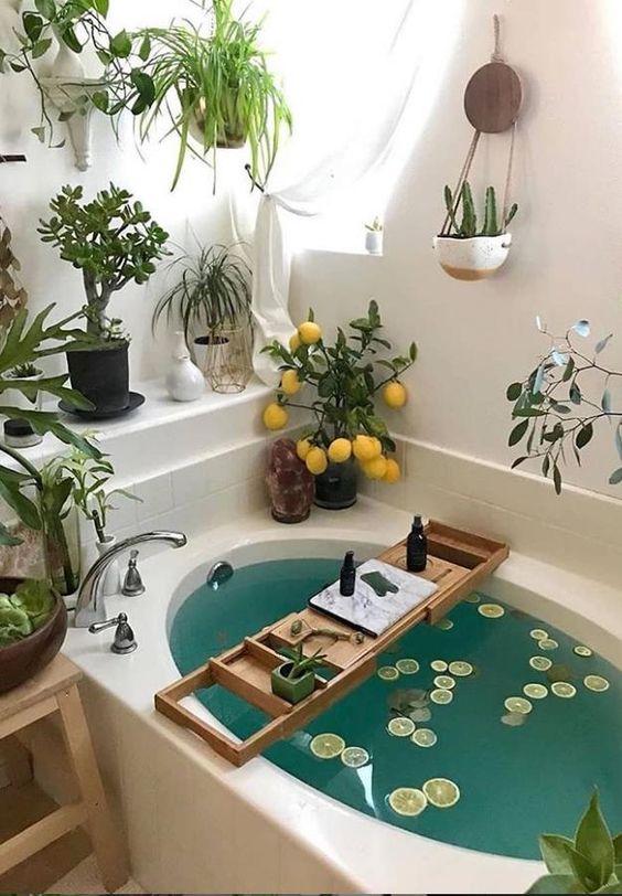 a bathtub surrounded by greenery and succulents in various planters and with some cacti and a lemon tree