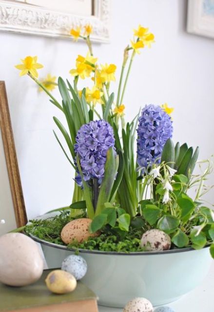 a blue bath with greenery, speckled eggs, yellow daffodils and purple hyacinths for Easter