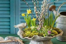 a concrete bowl with moss, daffodils, hyacinths and pussy willow growing in it is a cool Easter idea