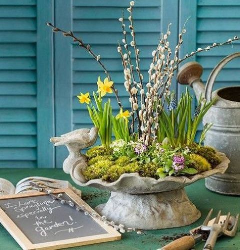 a concrete bowl with moss, daffodils, hyacinths and pussy willow growing in it is a cool Easter idea