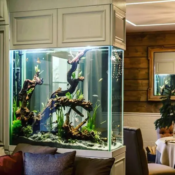 a large aquarium enclosed in panels is a beautiful and cool space divider for a living and dining room