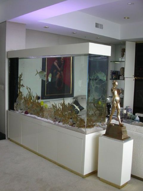 a large aquarium is a space divider and a decor feature looks bold and cool and will add to the decor of the space