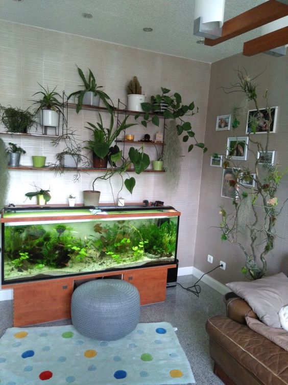 a living nook with a fish tank and lots of potted plants will relax your room and make it welcoming