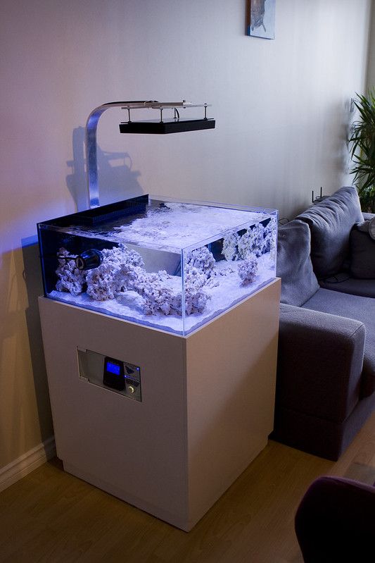 a mini aquarium on a stand and with lights over it is a very stylish decoration for the space