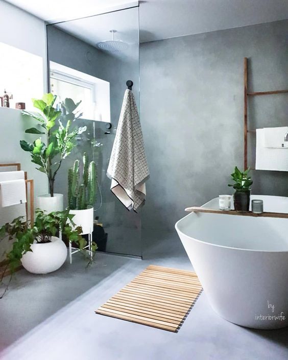 a minimalist bathroom done in concrete, with lots of statement plants and a large cactus to refresh this space