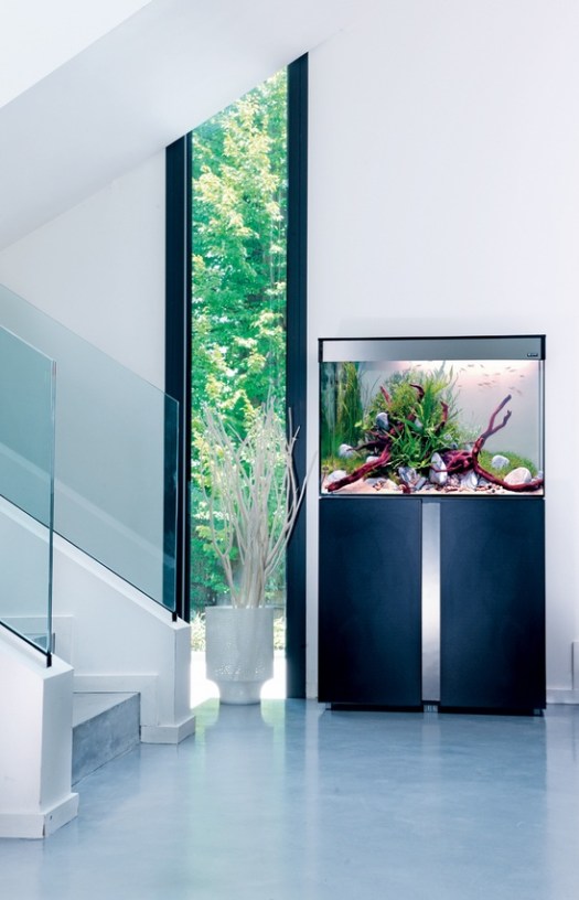 a minimalist space spruced up with a fish tank on a metal stand that adds decorative value to the nook