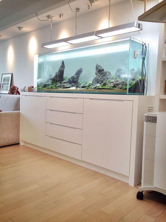 a minimalist white space finished with a no fish aquarium looks more living and cool