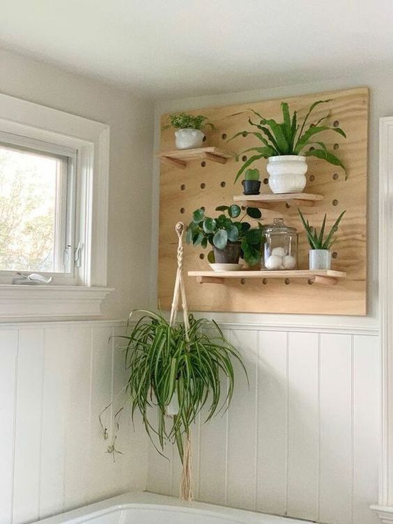 a pegboard piece with shelves attached to the wall for storage and potted greenery and succulents for a cool look