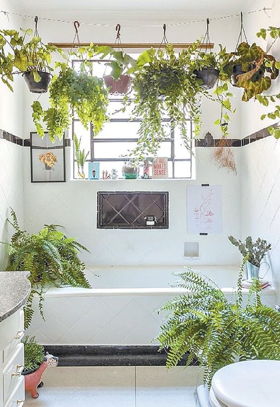 a small neutral bathroom brought to life with suspended planters with greenery and with more plants around
