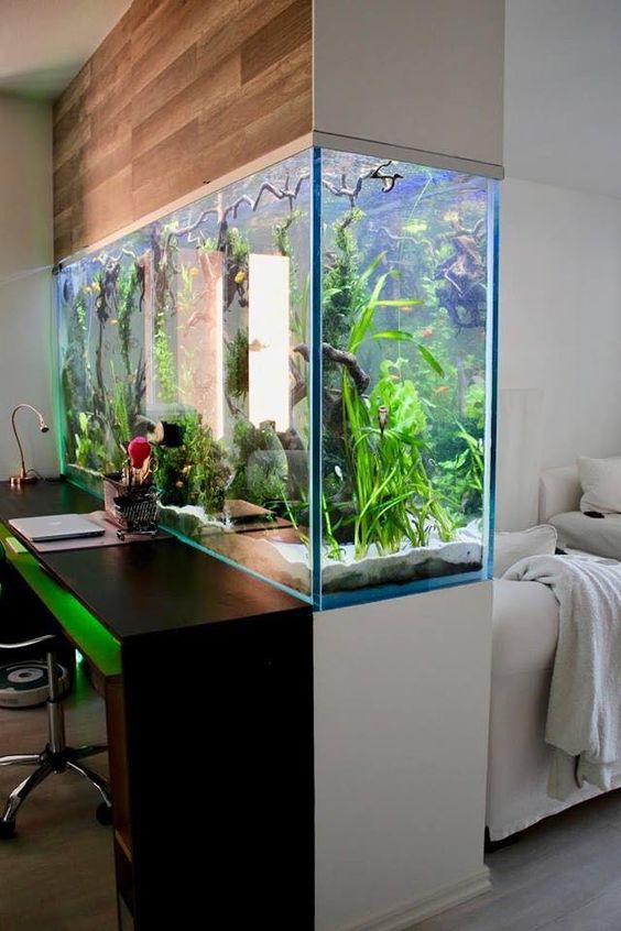 a stunning statement aquarium as a space divider for a working and sleeping zone is a very cool and relaxing option to go for