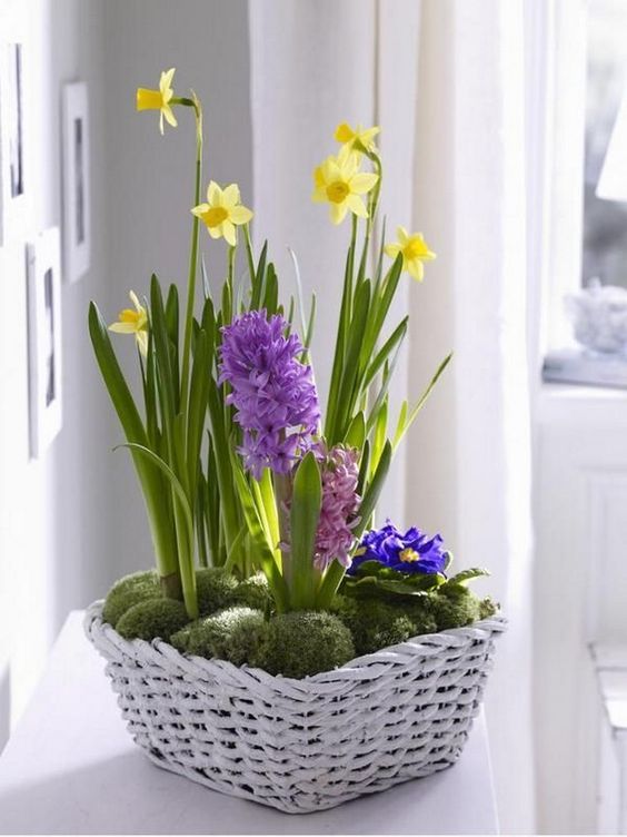 a white basket with moss and yellow and purple sprign bulbs is a gorgeous Easter and spring decoration