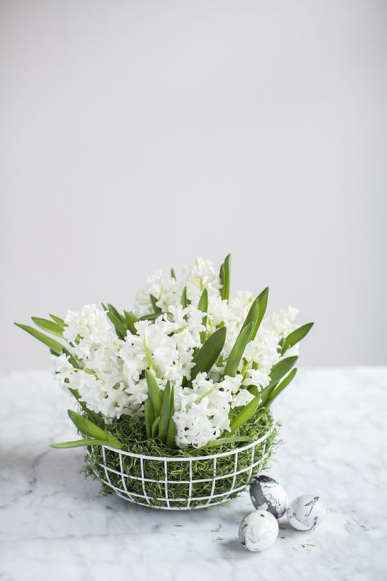 a wire basket with moss and white spring bulbs is a very fresh and cute Easter centerpiece