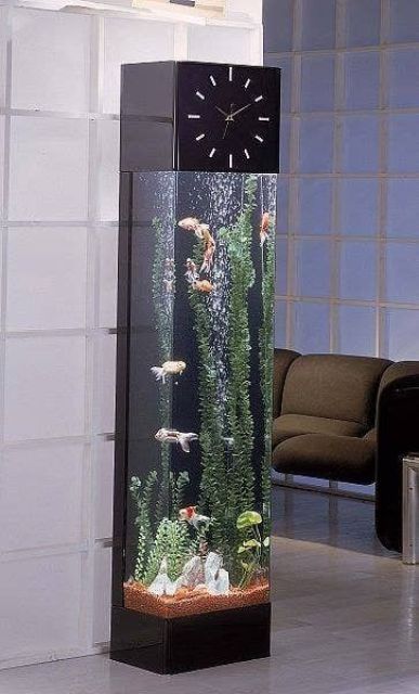 an aquarium combined with a clock is a fresh and modern idea of a home clock that will fit a modern space