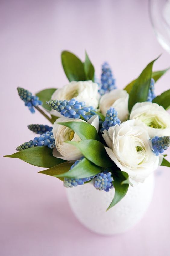 White ranunculus and blue grape hyacinth is a very spring like flower arrangement