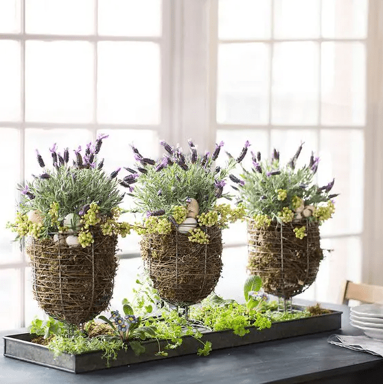 wire urn baskets with moss. eggs and spring flowers will be a gorgeous centerpiece of just decoration for Easter