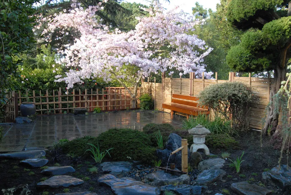 Adding several blooming trees is quite important because we all know how Sakura is popular in Japanese gardens.