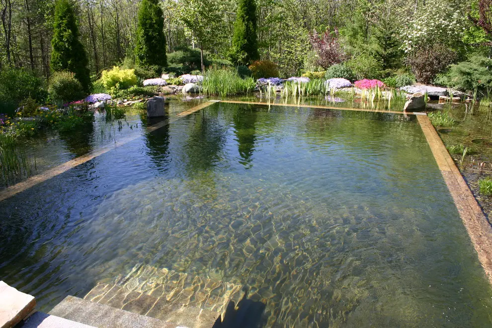 a natural swimming pond is a great alternative to a standard pool