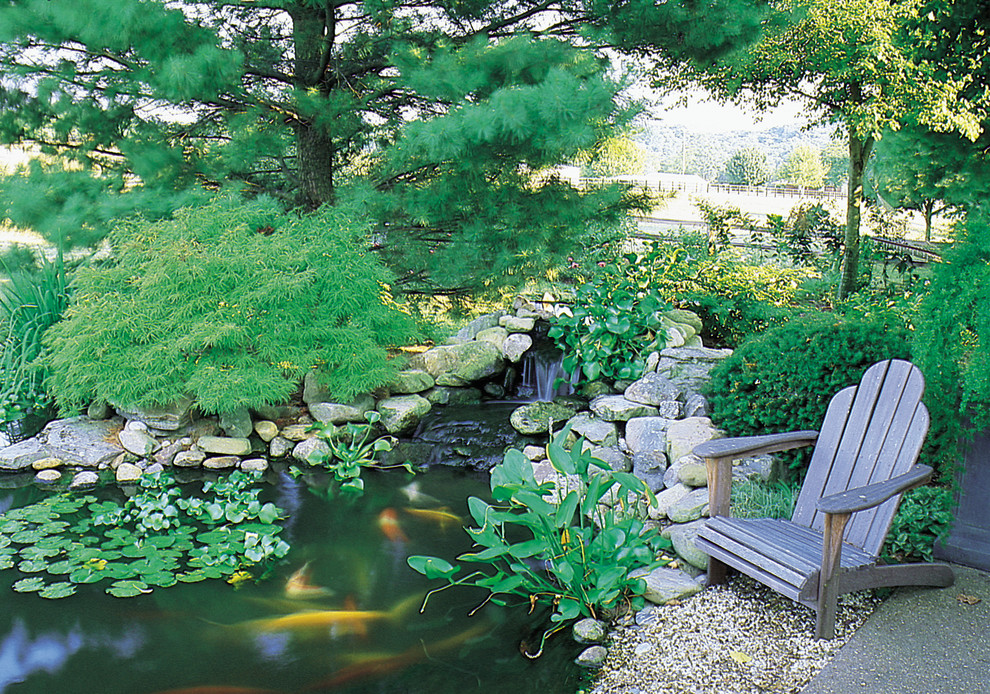 a weathered Adirondack chair should be near every backyard pond because of the fact it fit nature surroundings very well