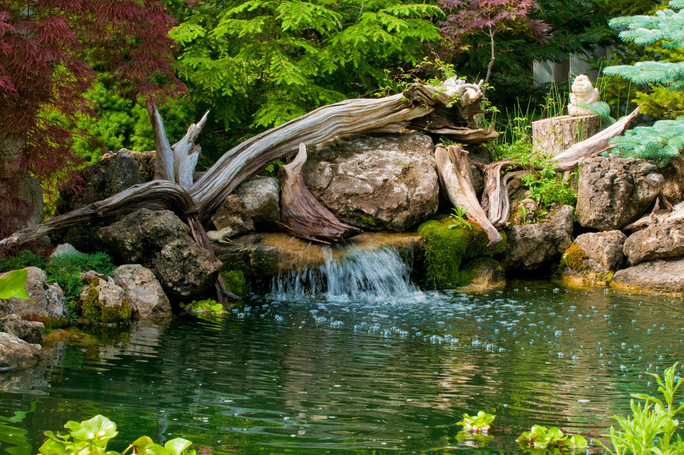 driftwood is a great addition to any water feature