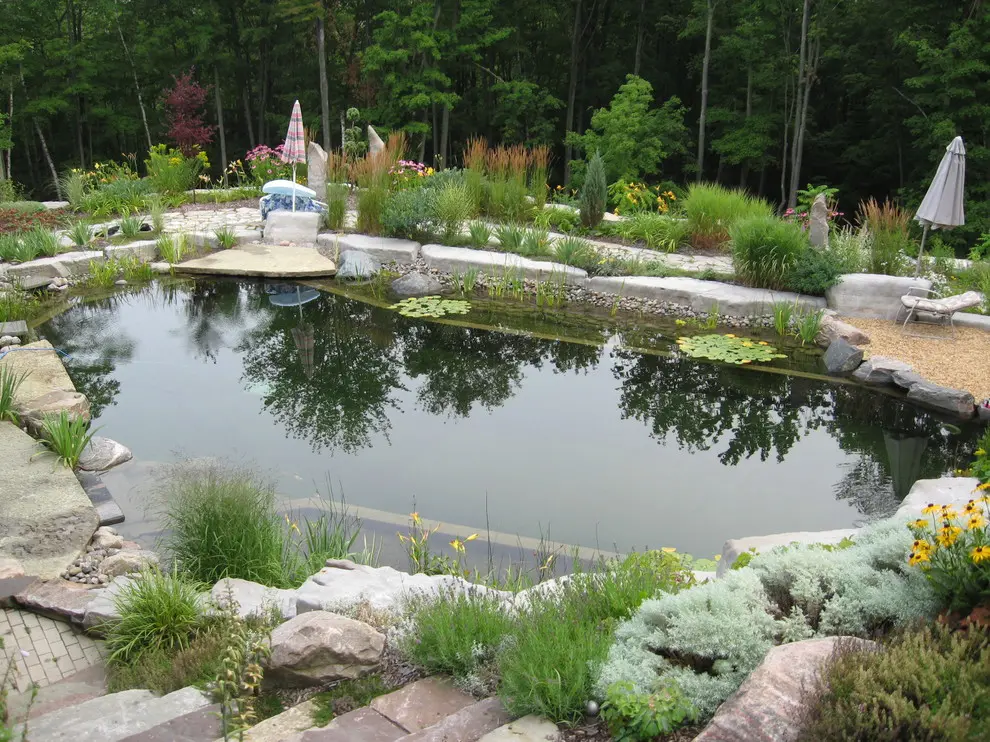 water plants is a great natural filter so you dont need to add chlorine to a swimming pond