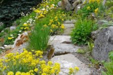 a gravel and stone garden pathway with greenery and bright yelow blooms around is a cool idea for a natural feel