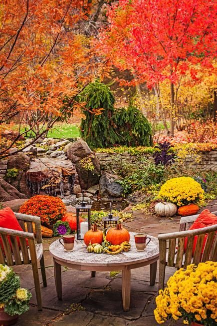 Fall colors could always create additional reasons to spend an evening outdoors.