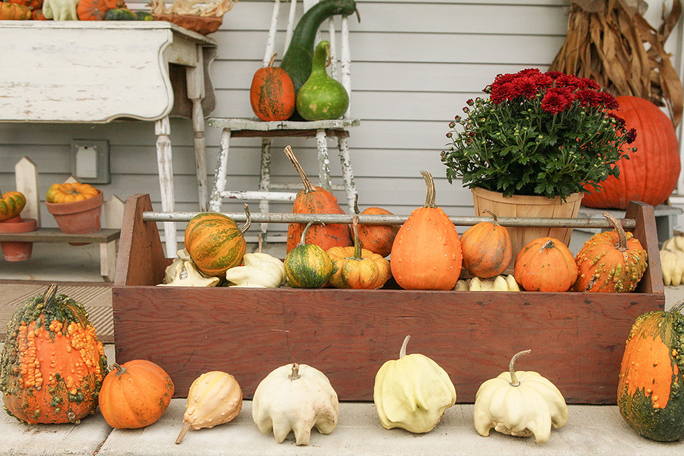 Fall veggies could be used to decorate your kitchen and any outdoor space too.