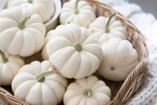 a basket with white pumpkins placed on a white knit blanket is a very cozy fall decoration