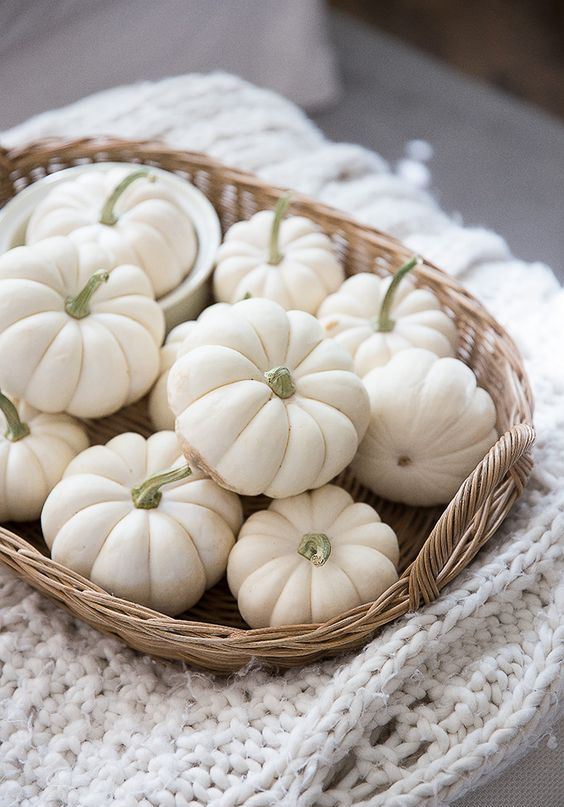 a basket with white pumpkins placed on a white knit blanket is a very cozy fall decoration