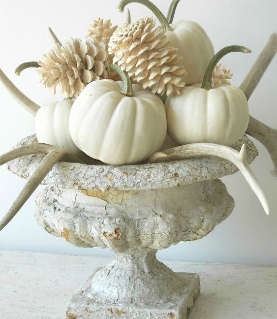 a beautiful fall arrangement of a vintage urn with white pumpkins, antlers and bleached pinecones is very chic