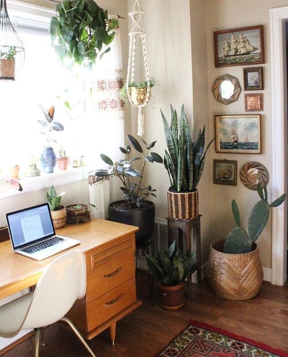 A boho mid century modern home office with a stylish desk, a white chair, potted plants, a gallery wall and hanging planters