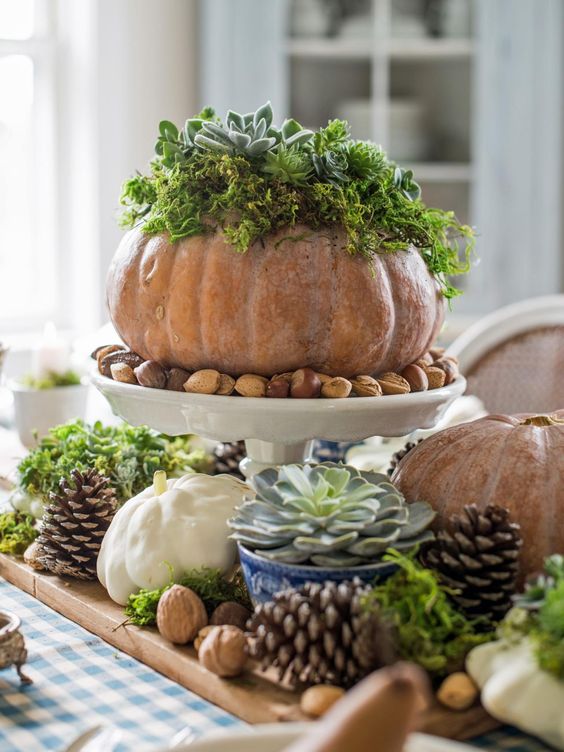 a fall centerpiece of pinecones, nuts, pumpkins with moss and sucuclents and potted succulents