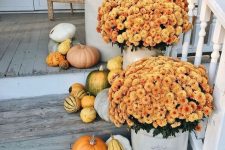 simple outdoor fall decor with pumpkins and gourds plus bright blooms in planters is stylish and will make your front porch inviting