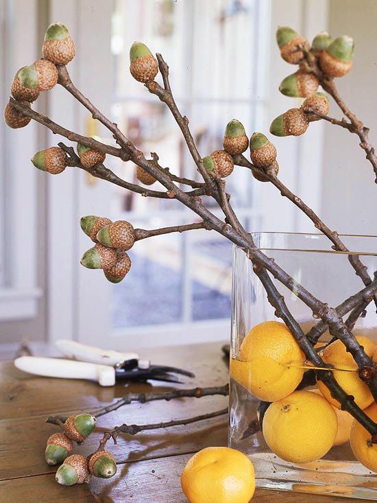 a clear vase with citrus and branches with acorns is a bright fall centerpiece