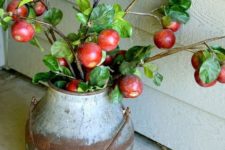 a vintage metal bucket with apple branches is a pretty rustic decoration