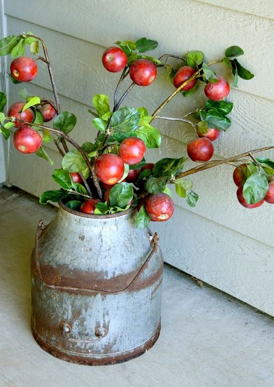 a vintage metal bucket with apple branches is a pretty rustic decoration