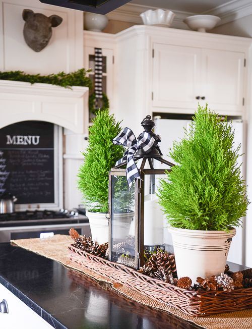 mini Christmas trees in pots, snowy pinecones in baskets and a candle lantern with a buffalo check bow