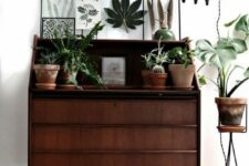 a dark-stained cabinet as a plant stand and botanical artwork in frames is a cool idea for a modern space