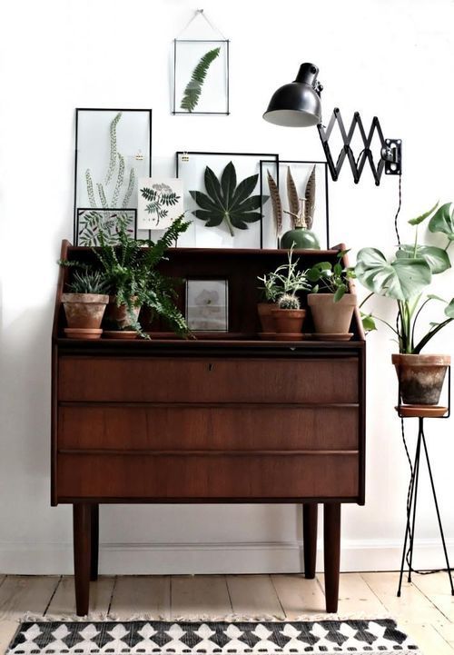A dark stained cabinet as a plant stand and botanical artwork in frames is a cool idea for a modern space