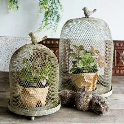 Decorative bird cages could definitely bring a rustic vibe to any space.