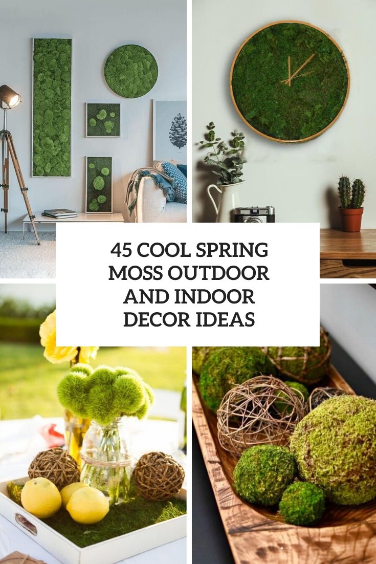cool spring moss outdoor and indoor decor ideas
